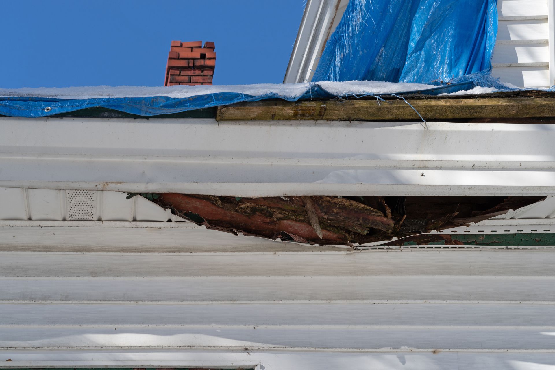 Termite Control & Treatment Services Virginia Beach, Chesapeake VA ...