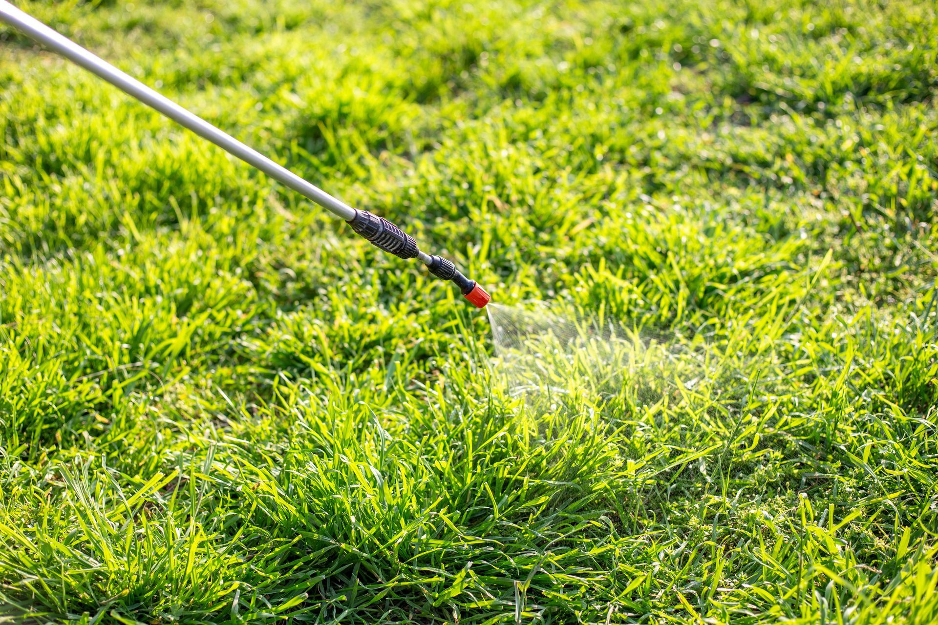 Lawn sprayer applying herbicide or pesticide to green grass for weed control treatment. Lawn sprayer applying herbicide or pesticide to green grass for weed control treatment.