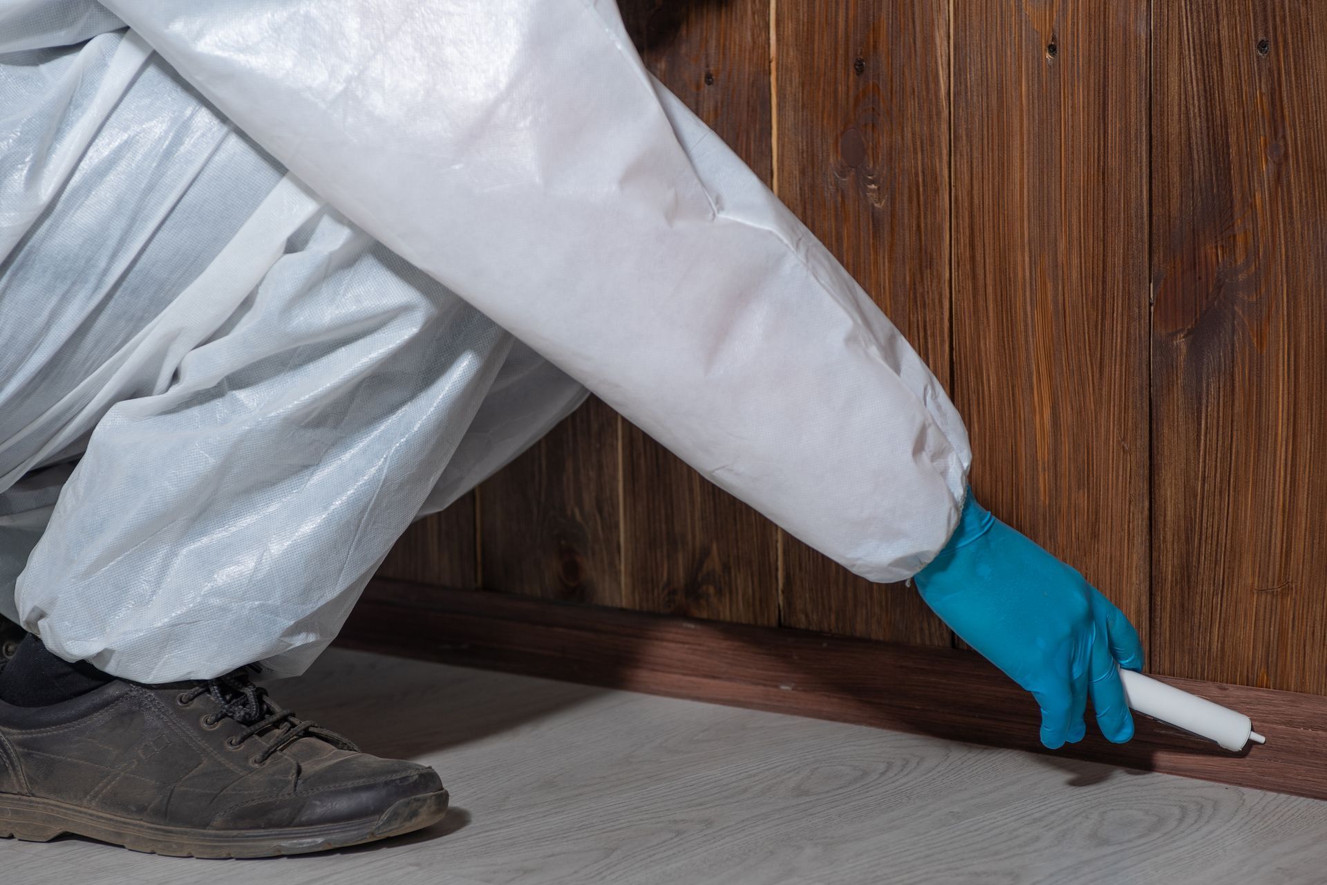 Pest control technician inspecting wood for termite treatment services.