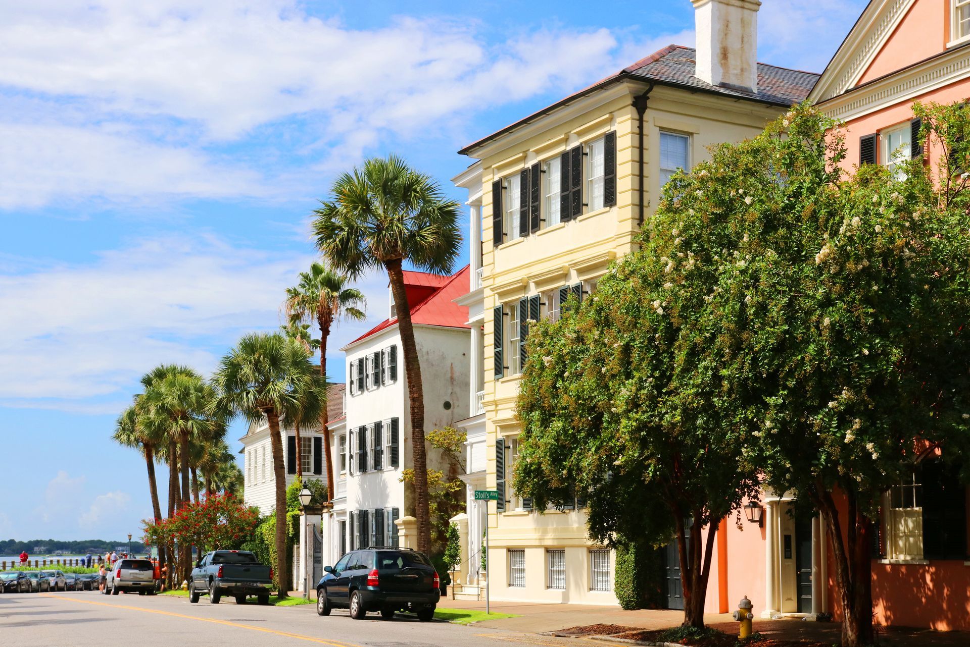 Pest Control Norfolk VA