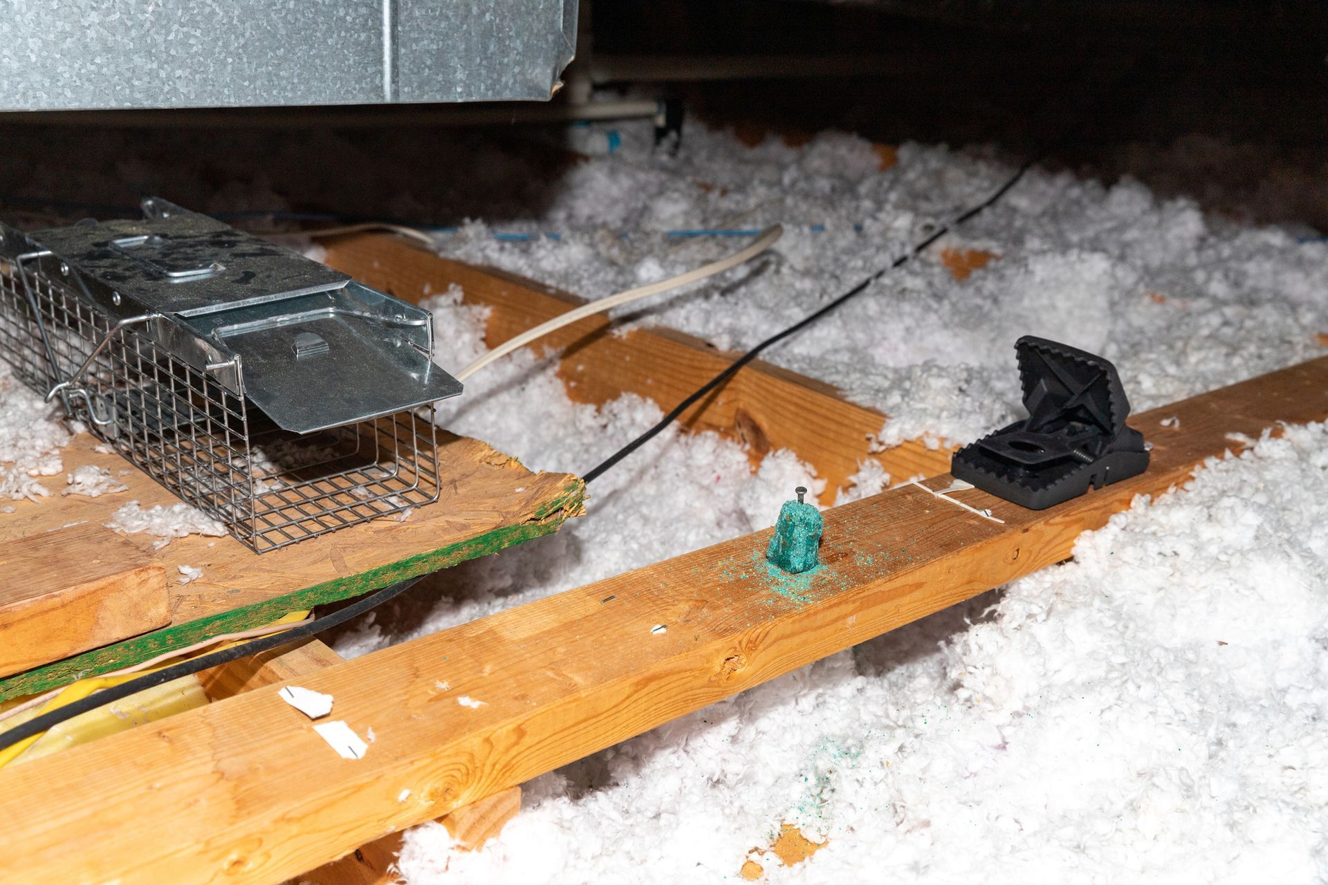 Commercial Pest Treatment Hampton VA