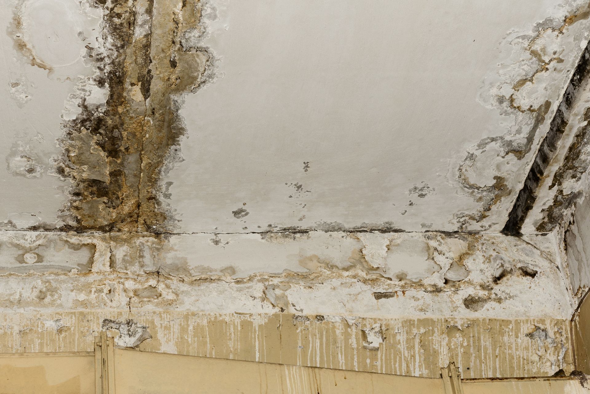 Moisture and Structural Damage Repairs Chesapeake VA
