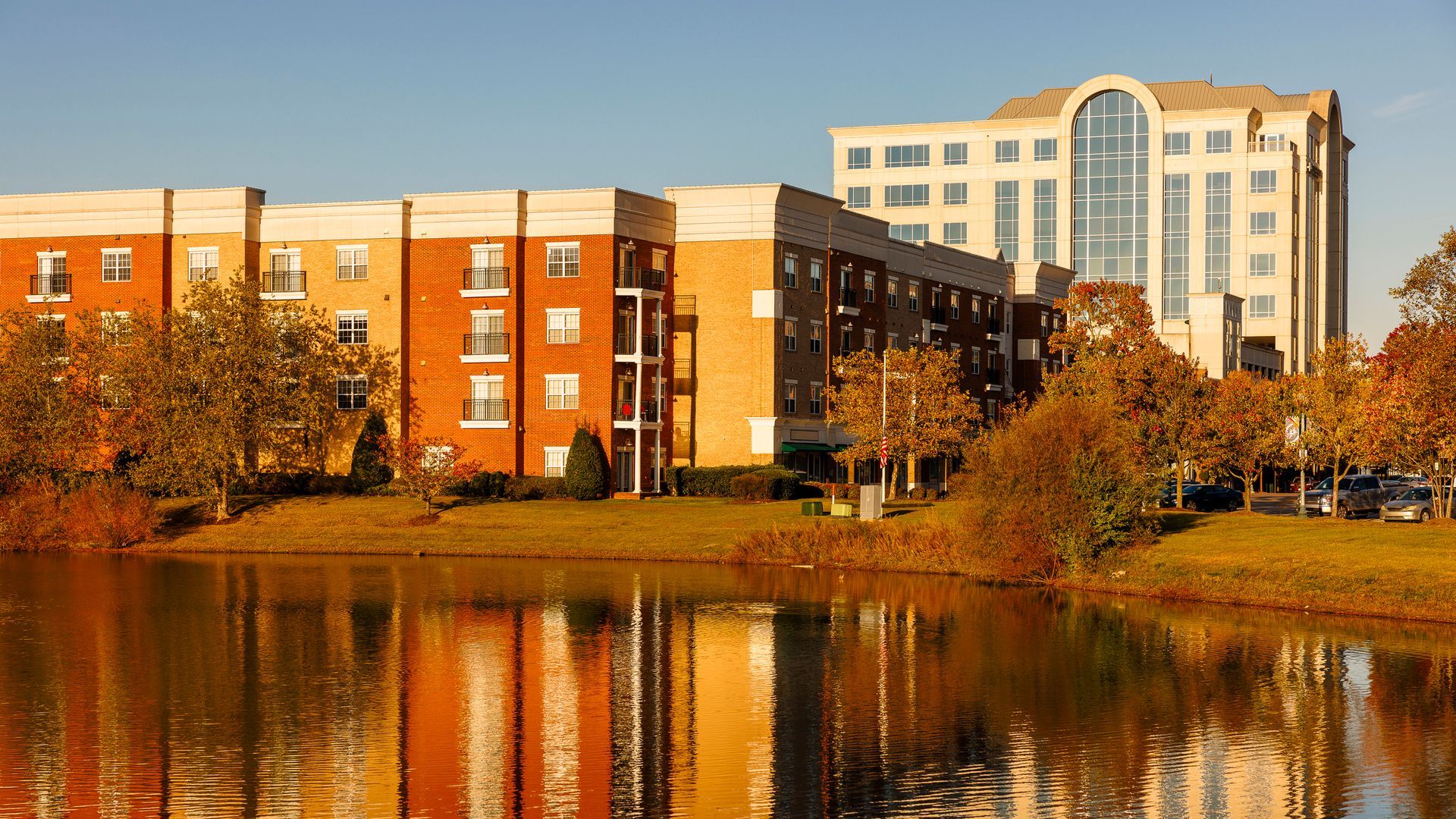 Pest Control Hampton VA