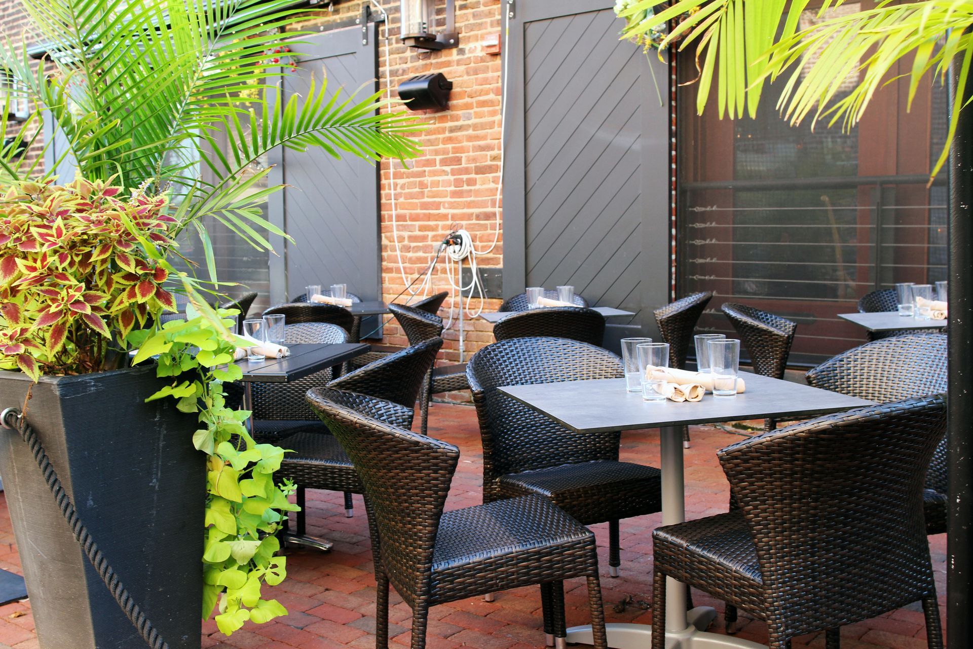 Commercial Pest Control Hampton VA