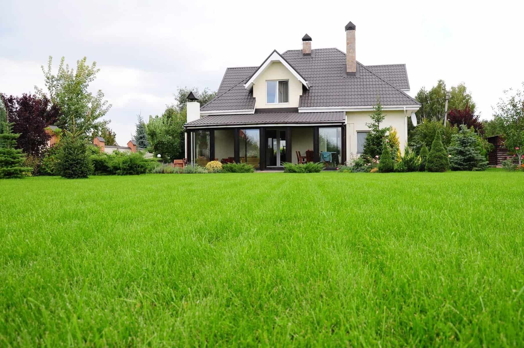 Pest Control Services Chesapeake VA