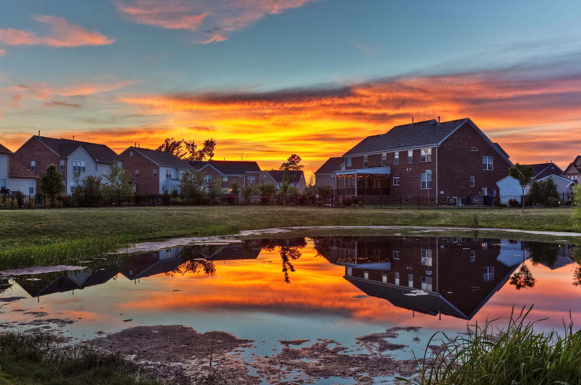 Local Pest Control Virginia Beach VA