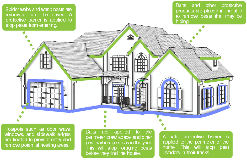 Pest Control Solution Chesapeake VA