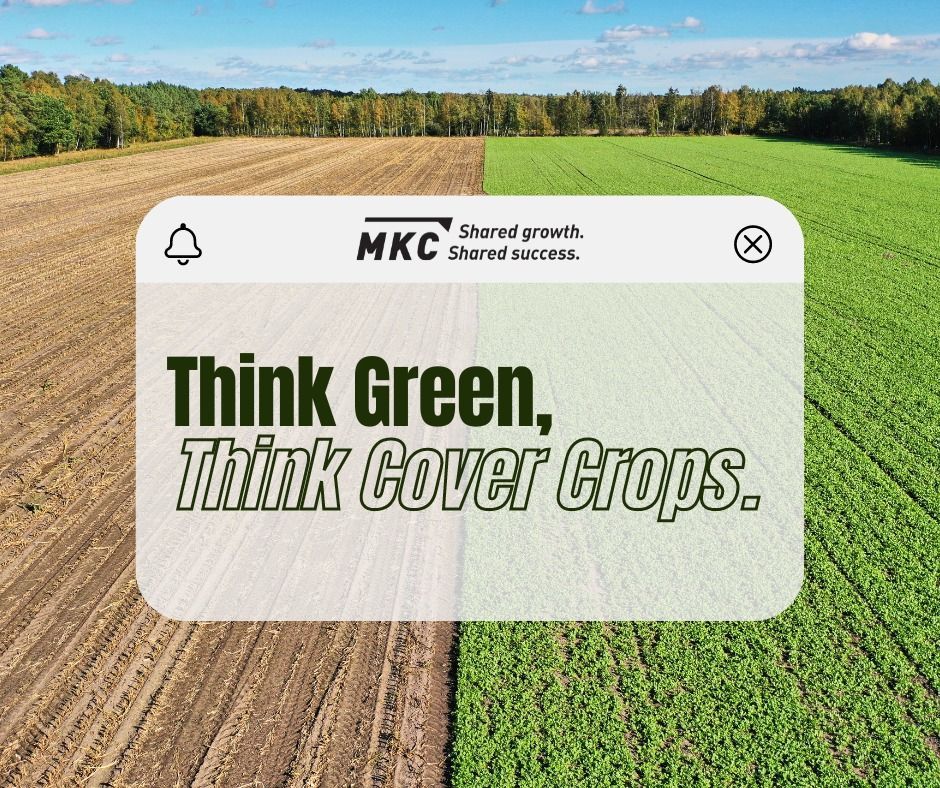 A picture of a field with the words `` think green , think cover crops '' written on it.