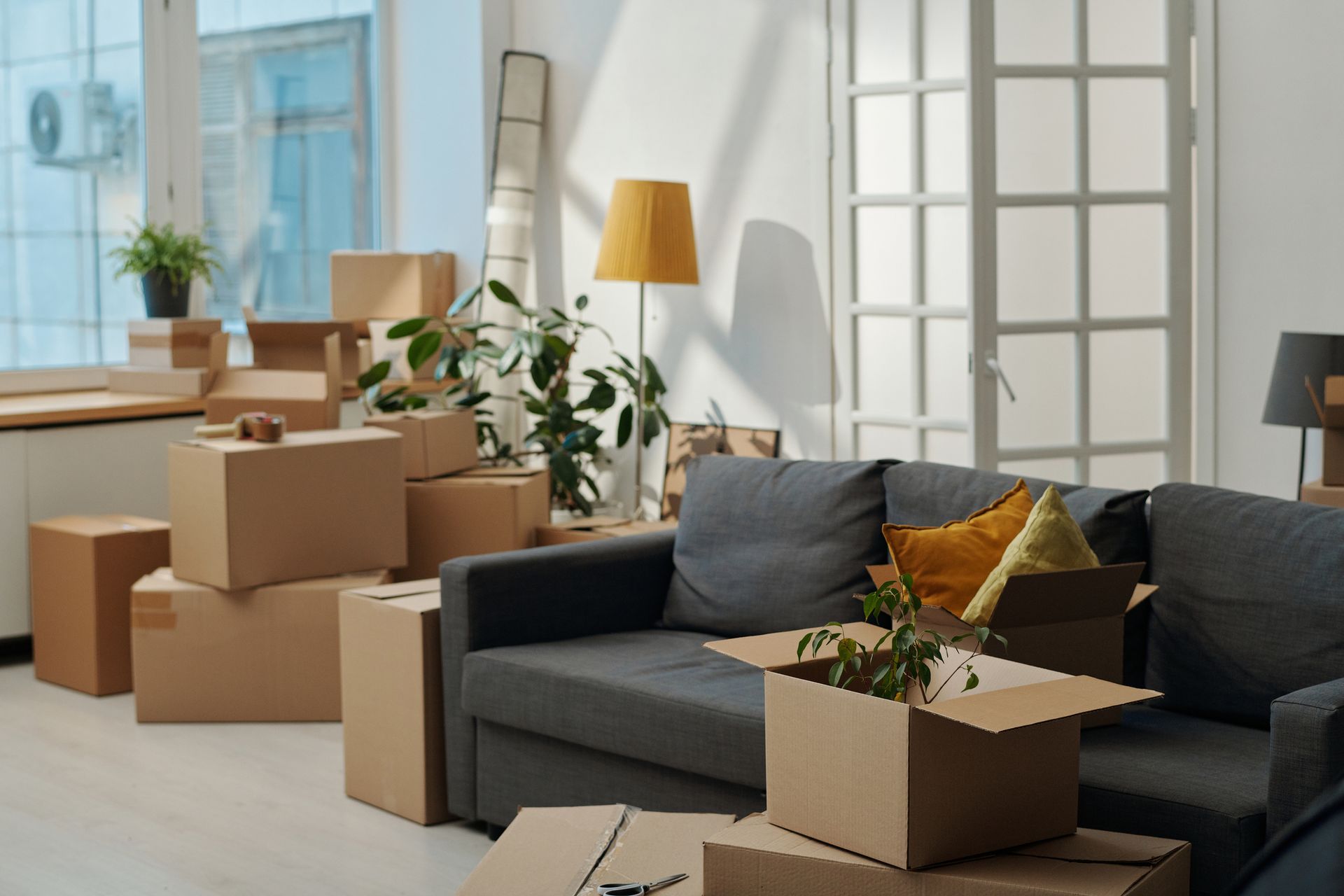 A living room filled with cardboard boxes and a couch.