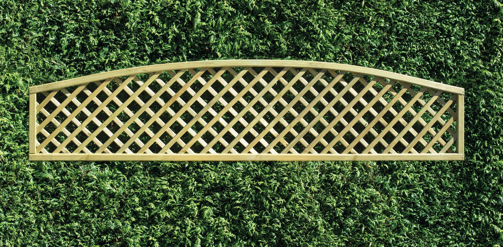 Diamond Arch Trellis