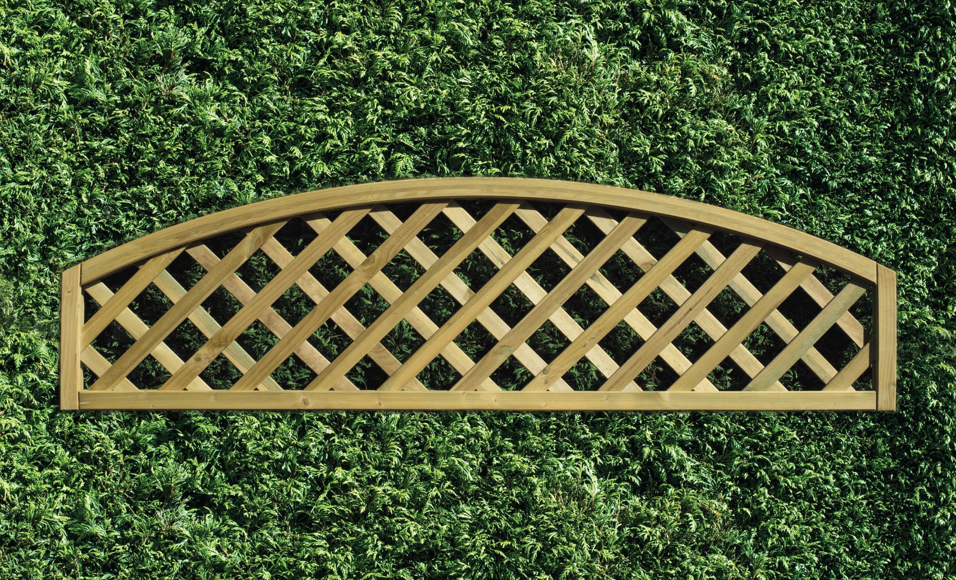 Heavy Duty Arch Trellis