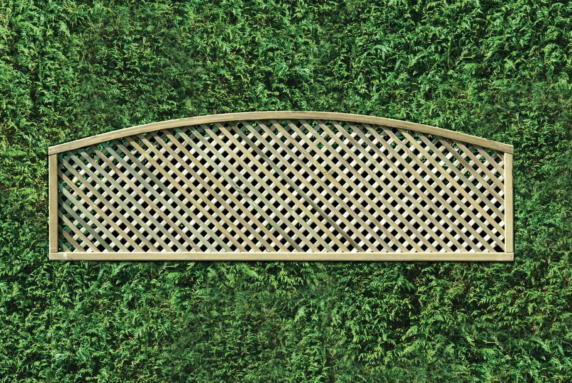 Privacy Arch Trellis