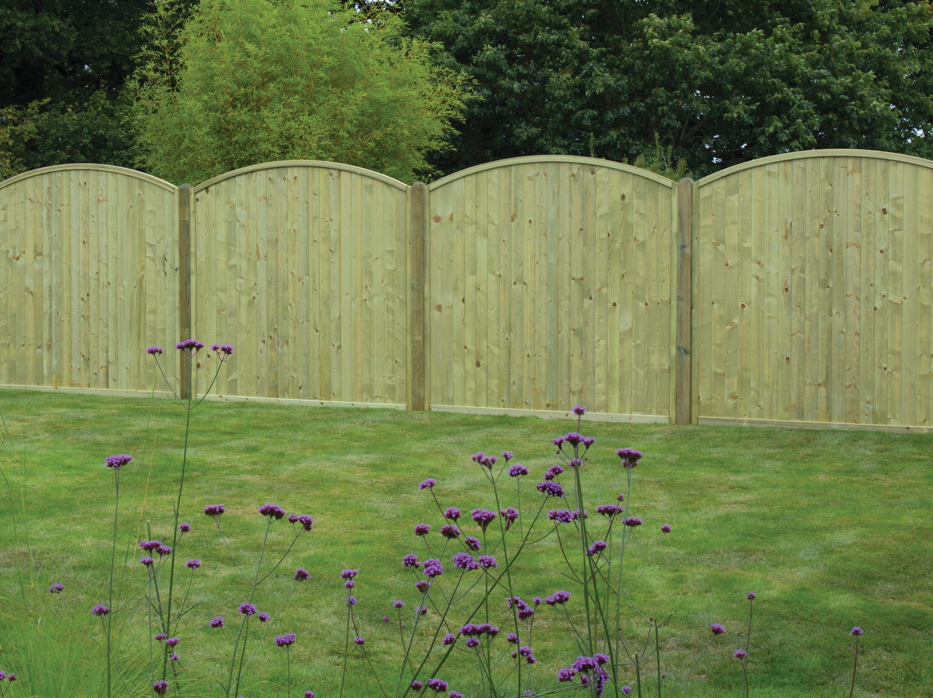 fence repair Tongue & GrooveTongue & Groove Arched Top Fence in Harrogate