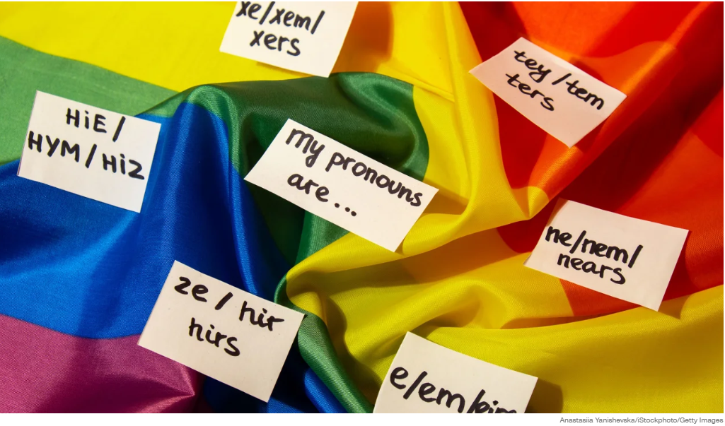 Rainbow flags with pronoun labels on cards, including “he/him,” “she/her,” and “they/them”