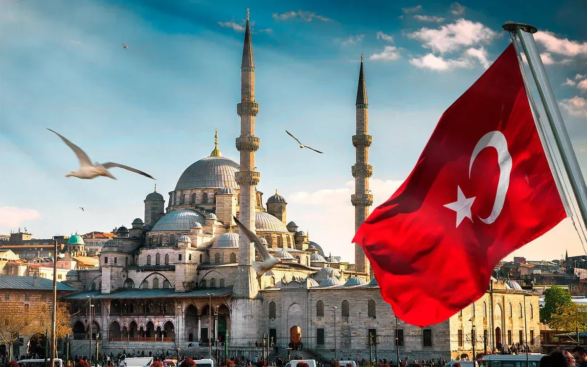 about of turkey