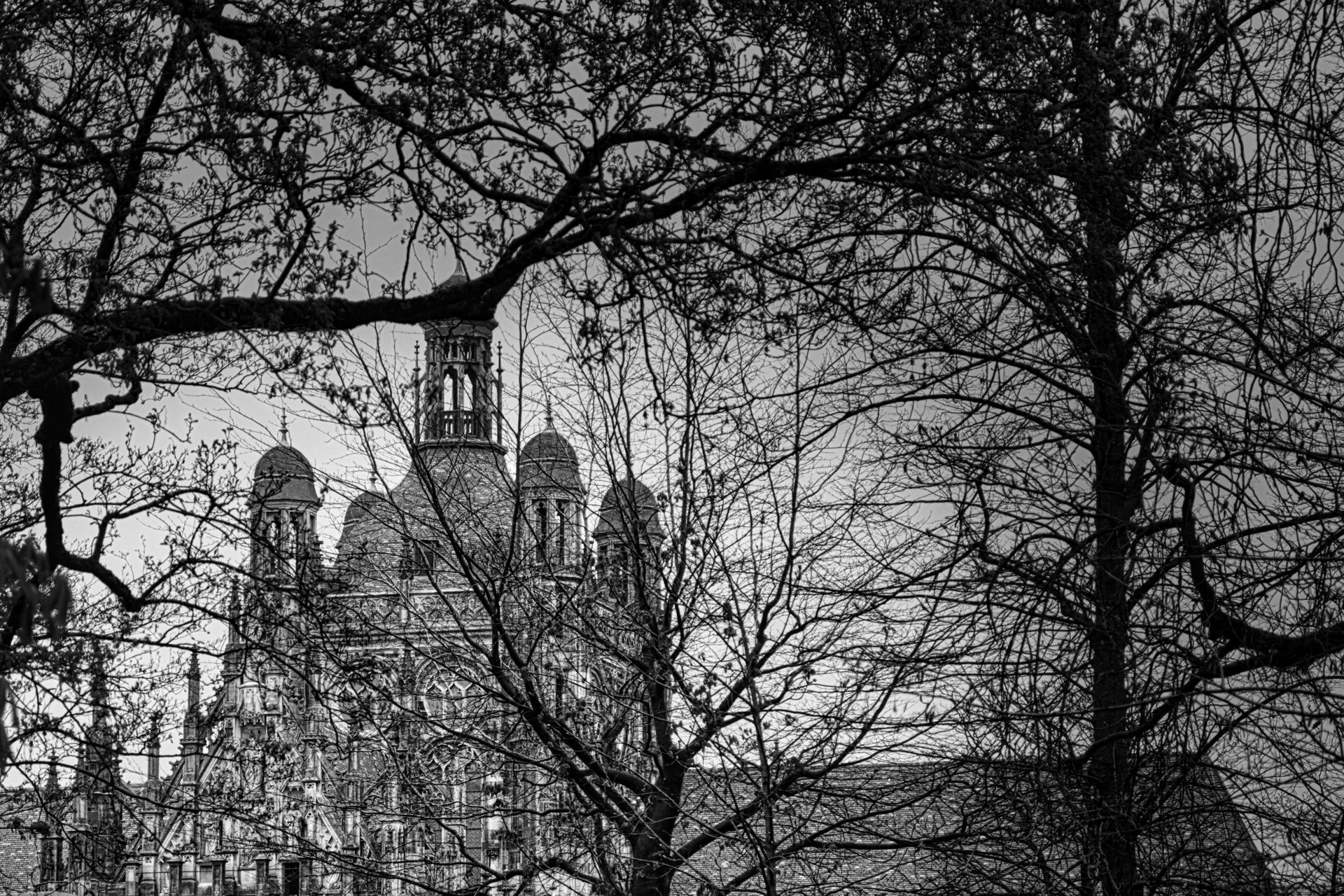 Black-and-white view of a cathedral framed by bare tree branches