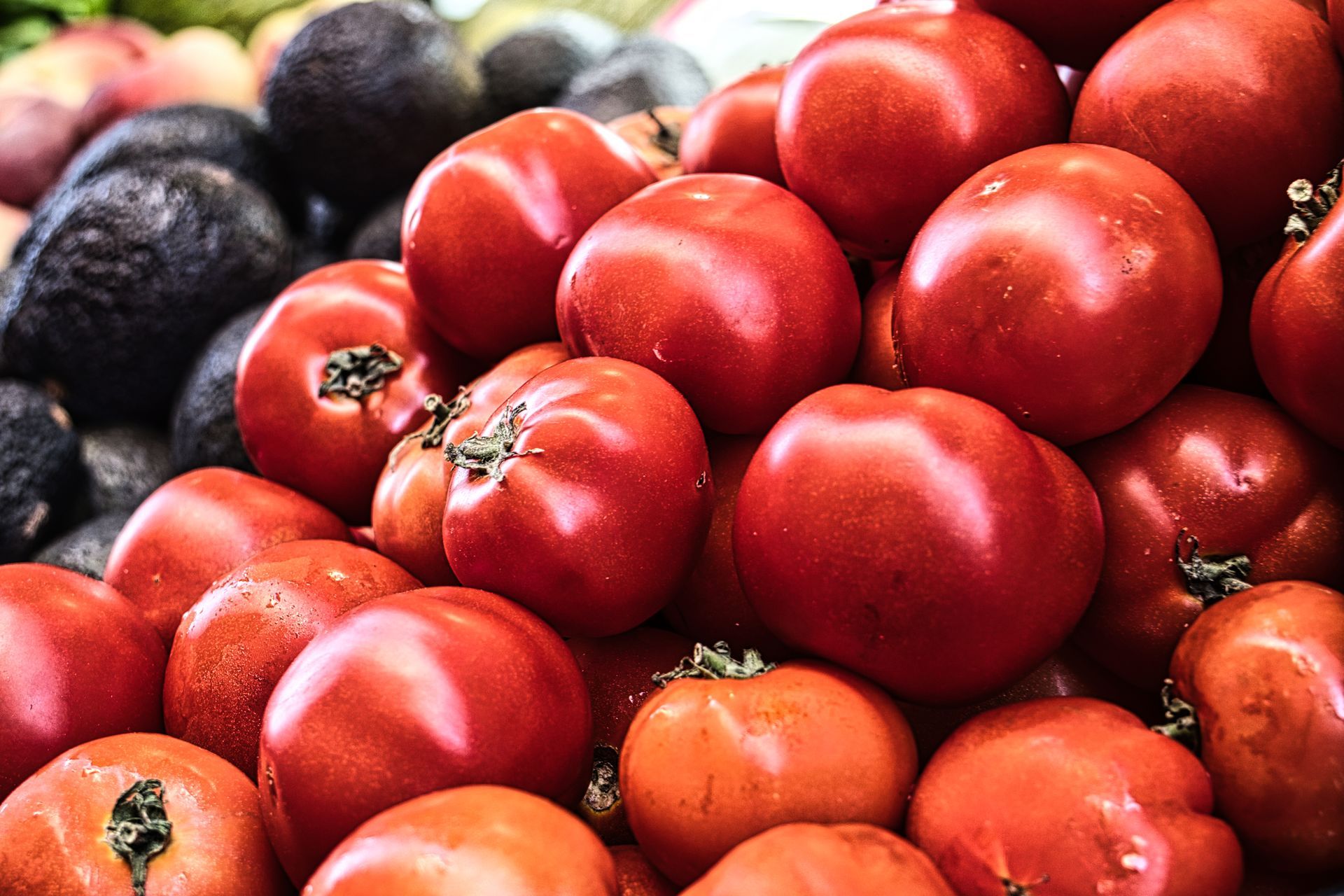 Pile of red tomatoes with a few dark avocados in the background