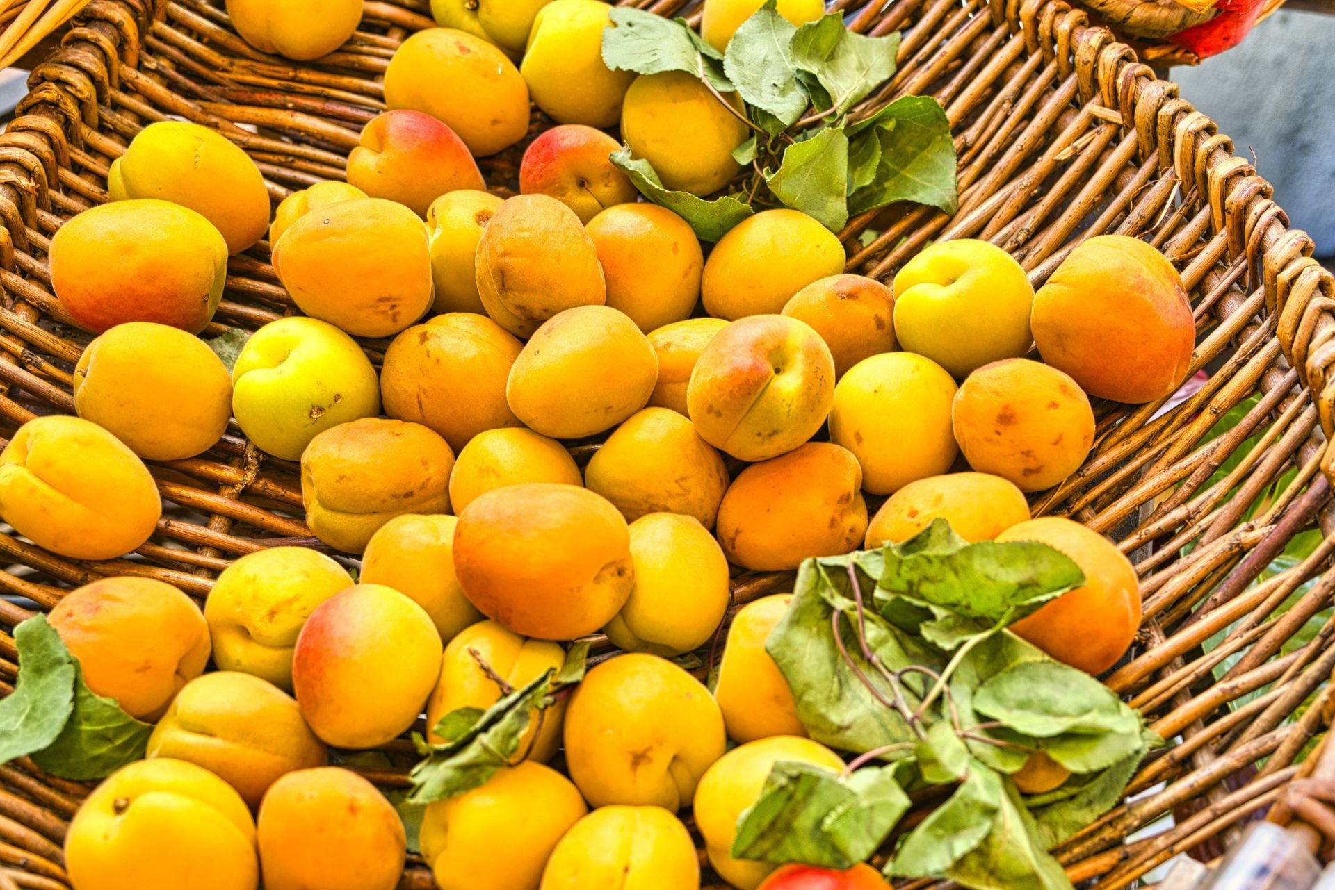 Wicker basket filled with yellow-orange fruit and green leaves