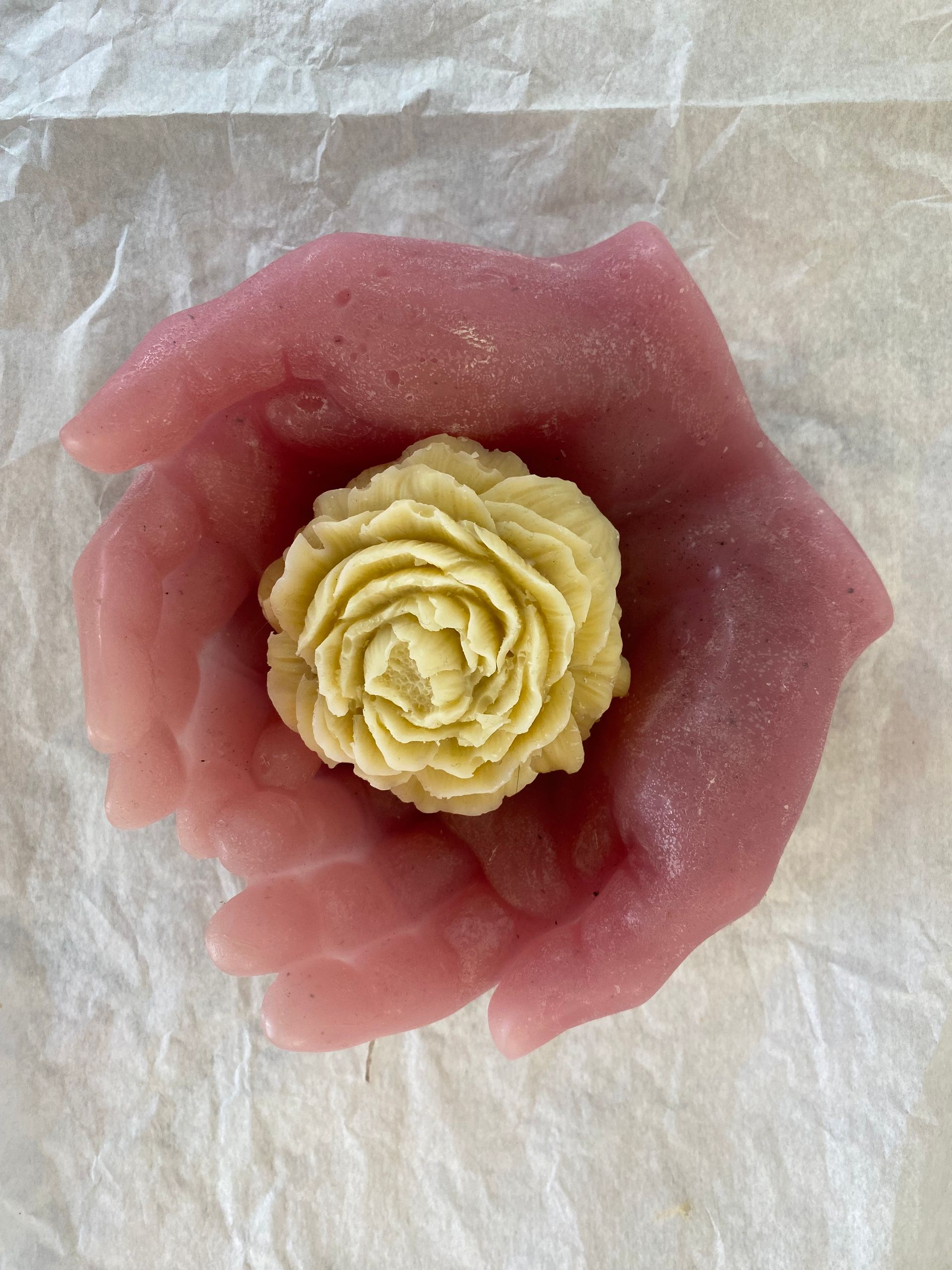 Une fleur rose avec un centre jaune est posée sur un morceau de papier.