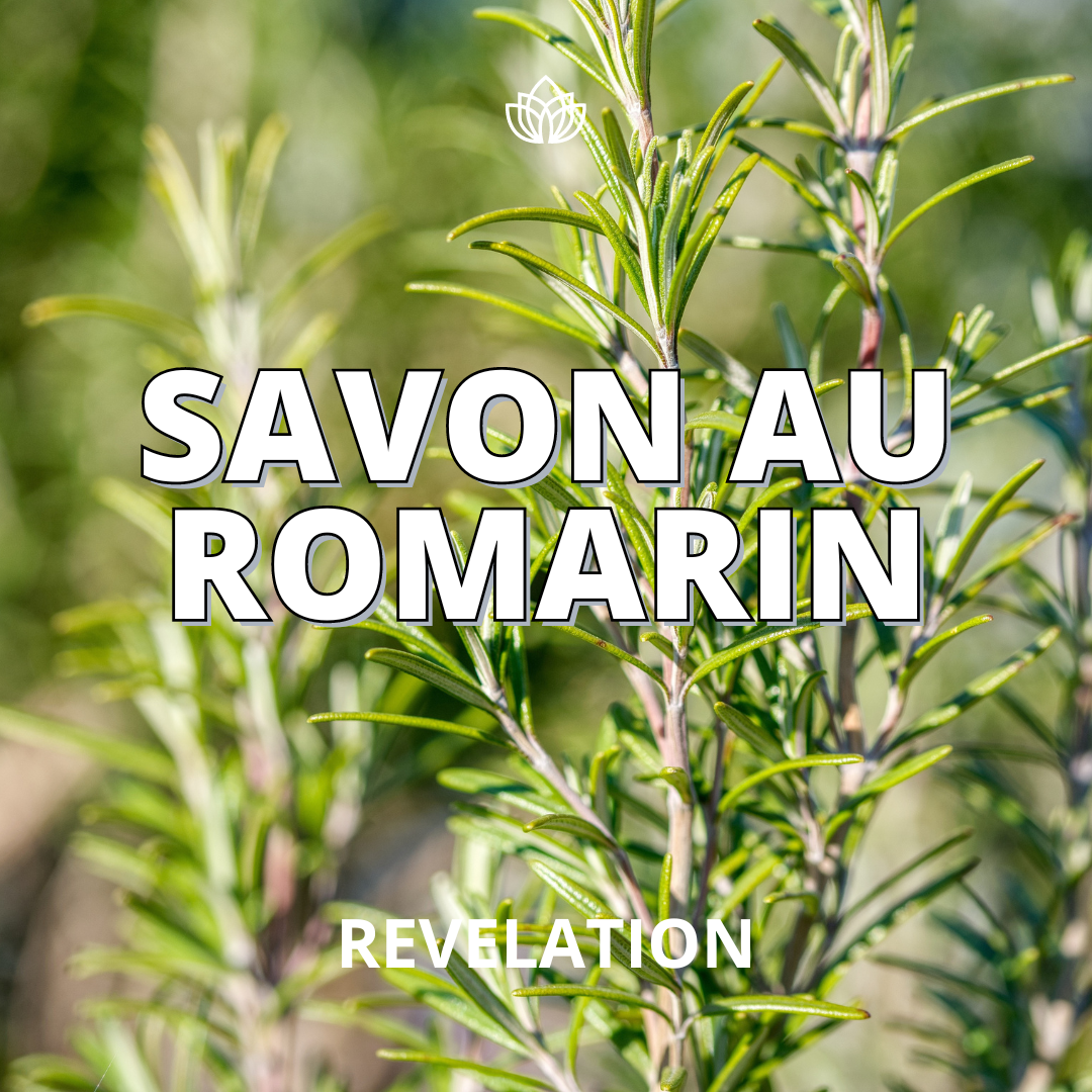 Un gros plan d'une plante de romarin avec les mots savon au romarin révélation écrits dessus.