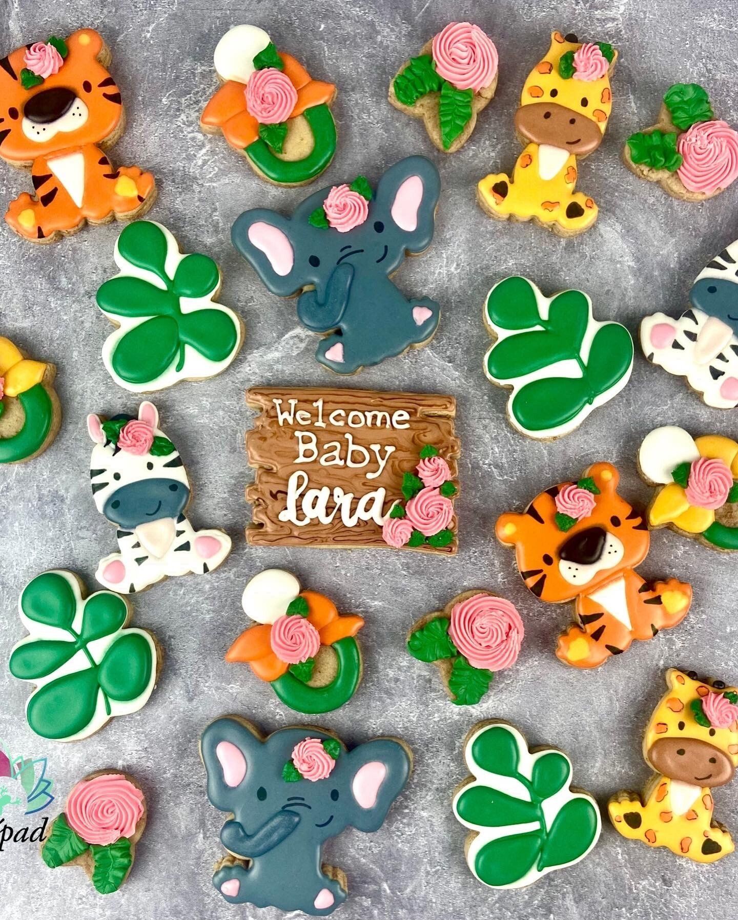 Variety of assorted designed cookies
