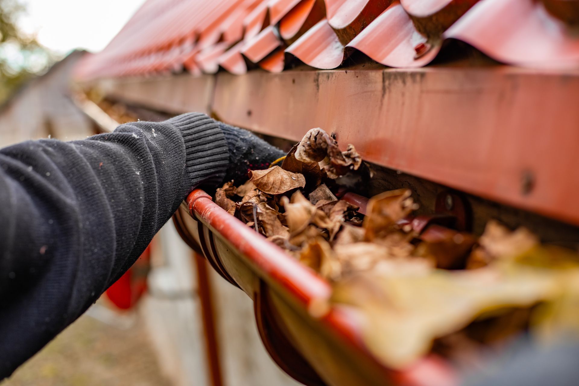 Worker in gloves cleaning out a gutter full of fallen leaves. Worker in gloves cleaning out a gutter full of fallen leaves.