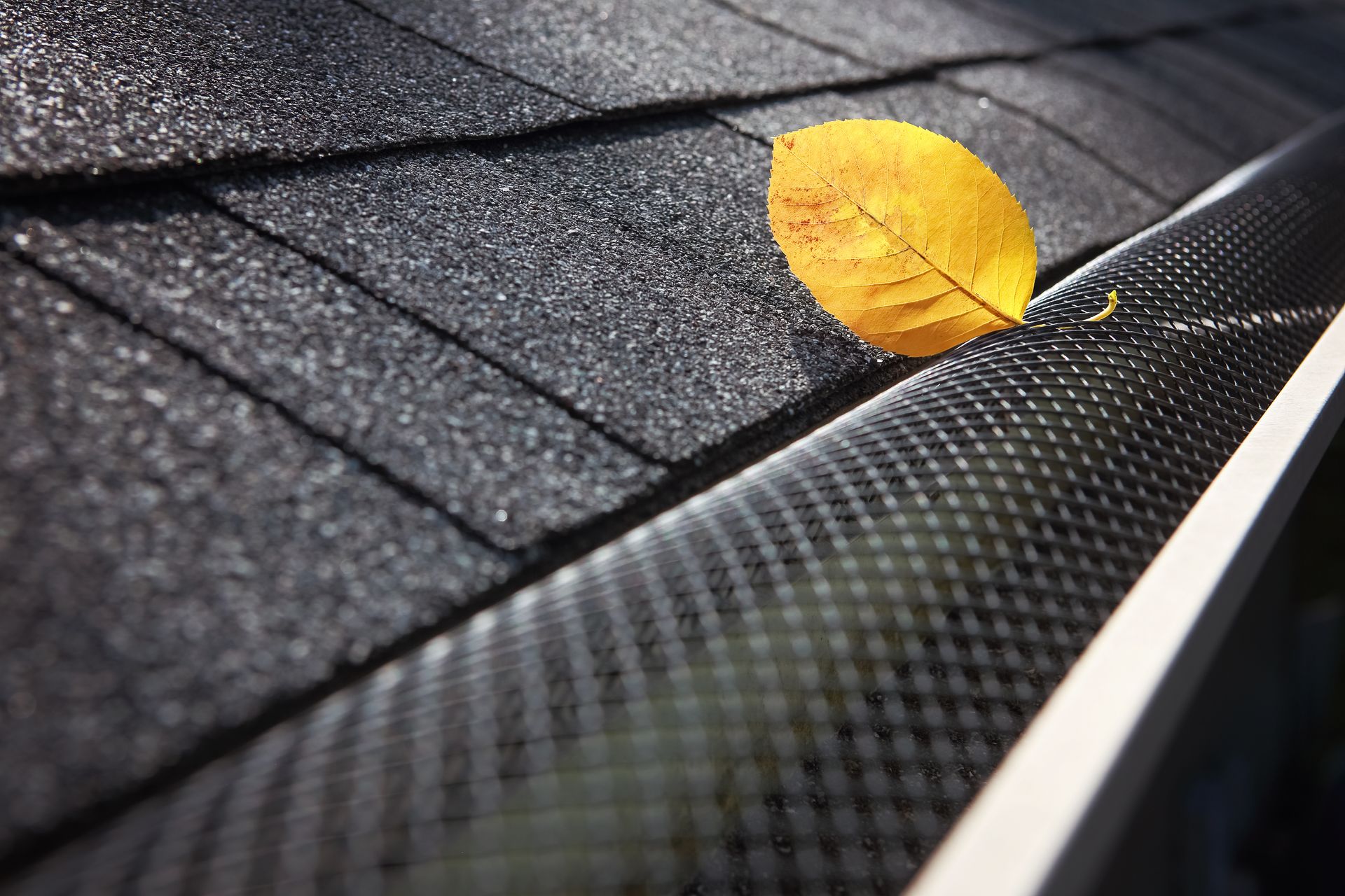Yellow leaf resting on a black gutter guard installed along an asphalt shingle roof edge.