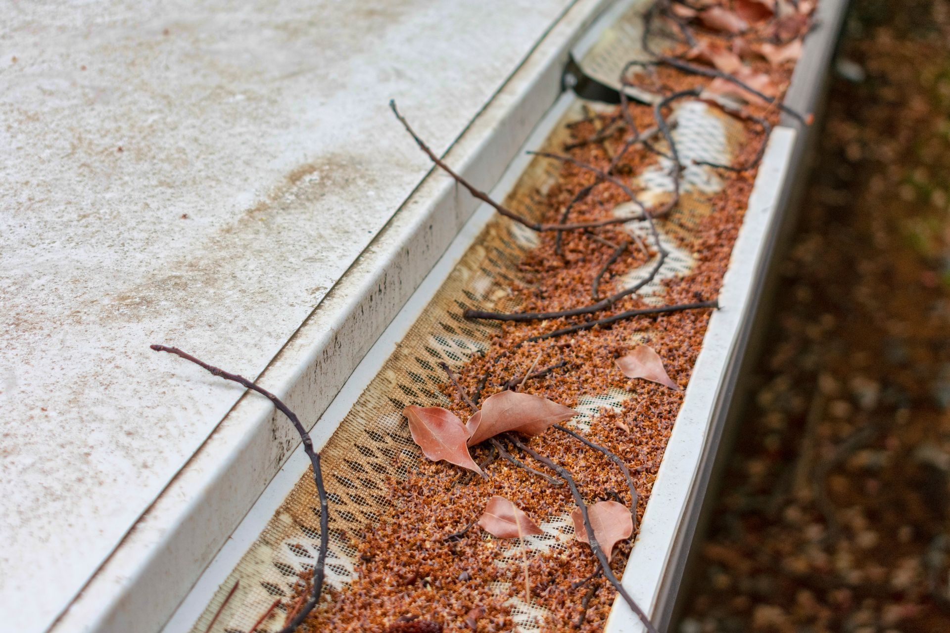 Gutter filled with leaves, twigs, and debris accumulating on a mesh gutter guard system.