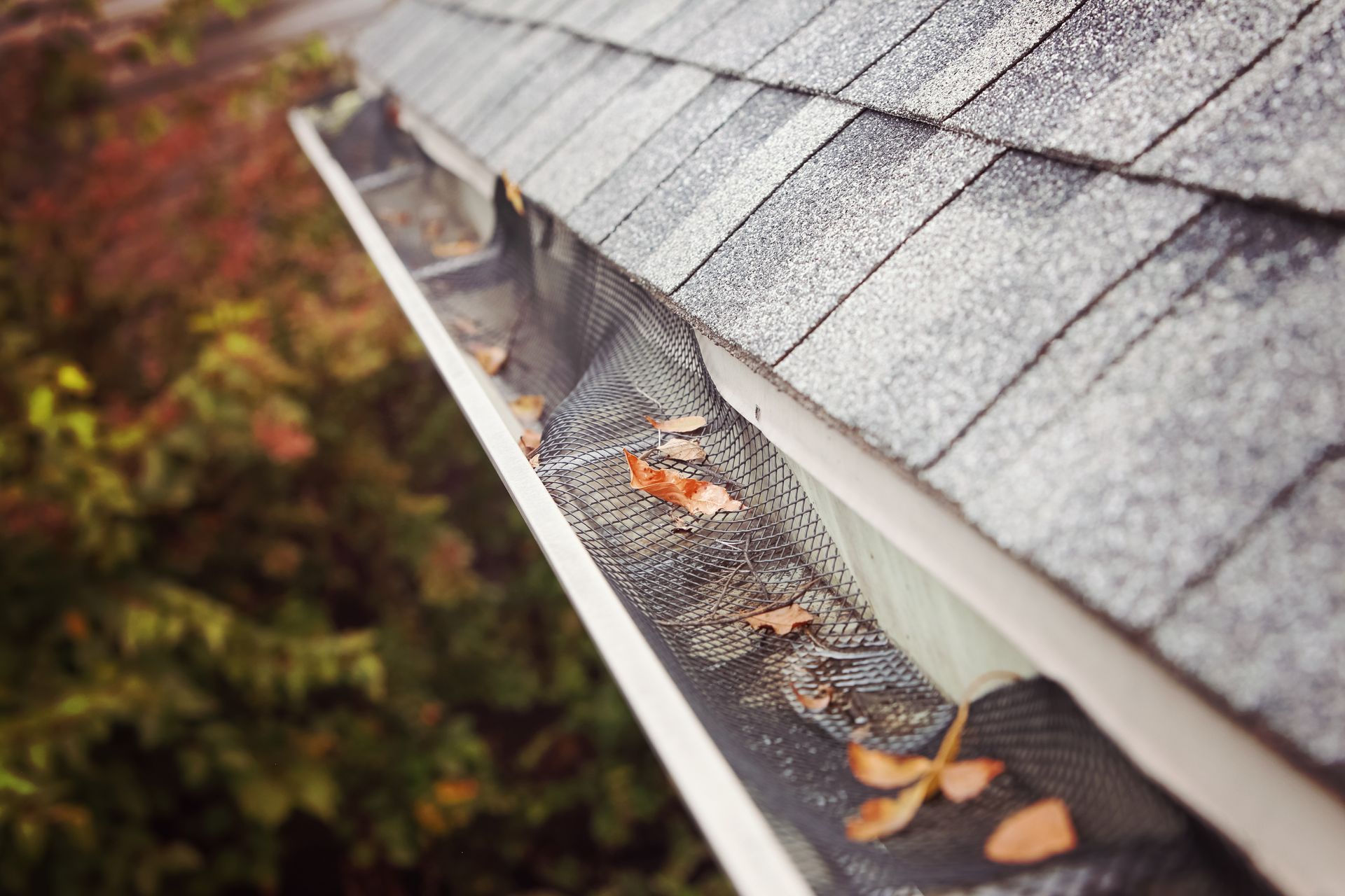 Roof gutter with mesh guard partially covered by fallen leaves along a shingled roof.