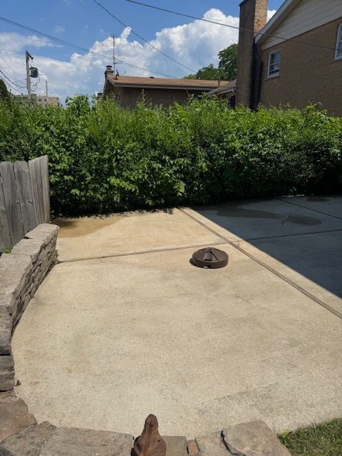 Concrete patio with a dark object, backed by green bushes and a wooden fence.