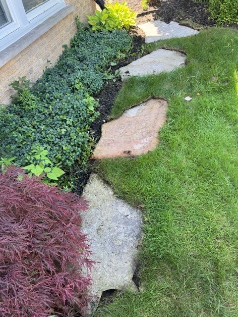 Stone path in a green lawn next to a bed of plants. Purple, green, and yellow foliage visible.