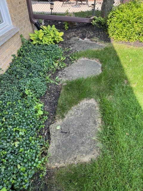 Stone stepping stones in a grassy area, alongside green groundcover and a building with a downspout.