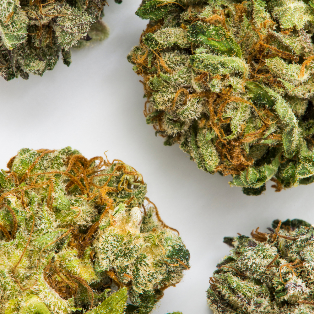 Four cannabis buds with green leaves and orange hairs on a white background.