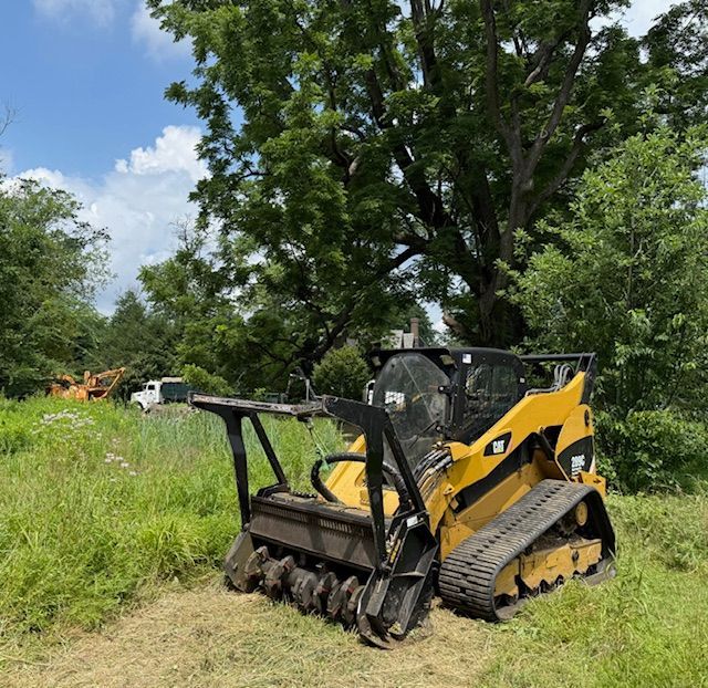 Man Holding Chainsaw — Penn Valley, PA — Cox & Co Tree Service