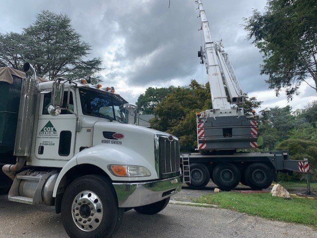 Big Lumber — Penn Valley, PA — Cox & Co Tree Service