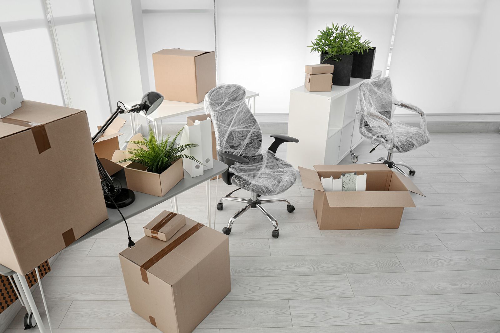 Moving boxes and wrapped office chairs in a bright, empty room with a potted plant