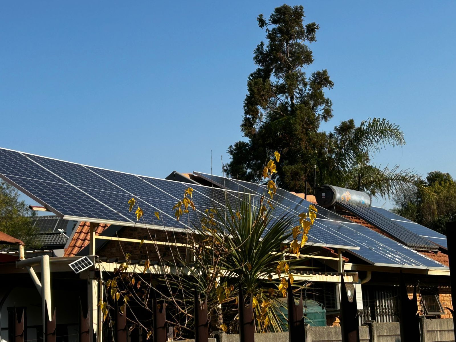 Solar panels mounted on a house roof next to a large tree under a clear blue sky.