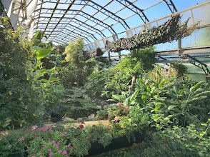 A greenhouse filled with lots of plants and flowers.