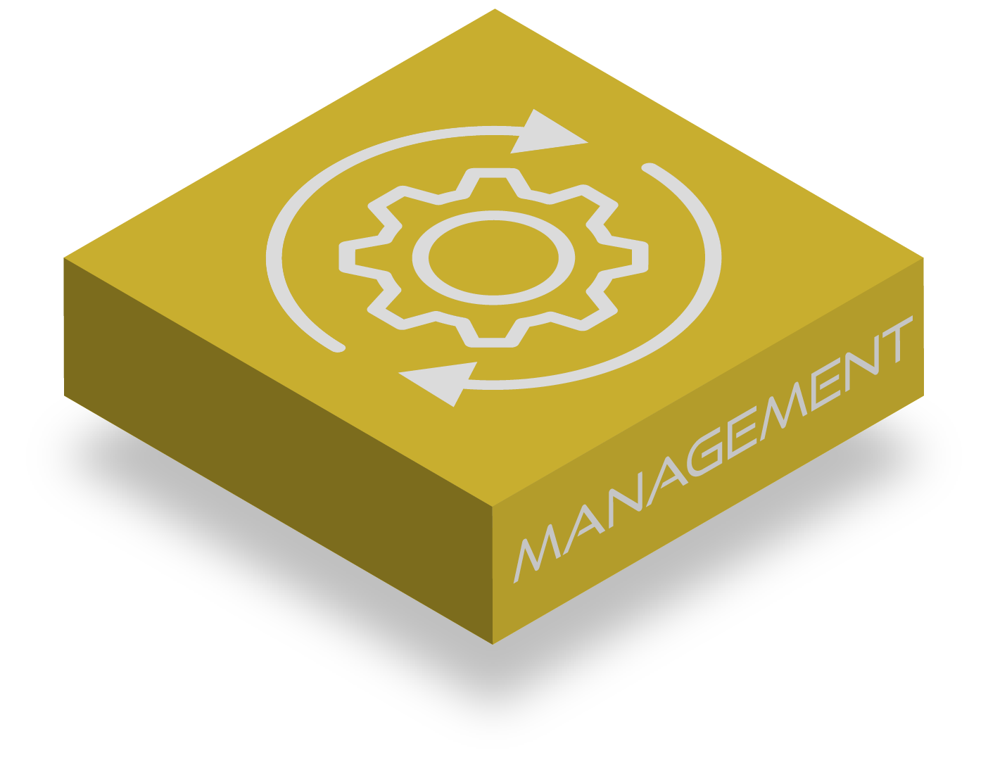 A box with a gear and the word management on it