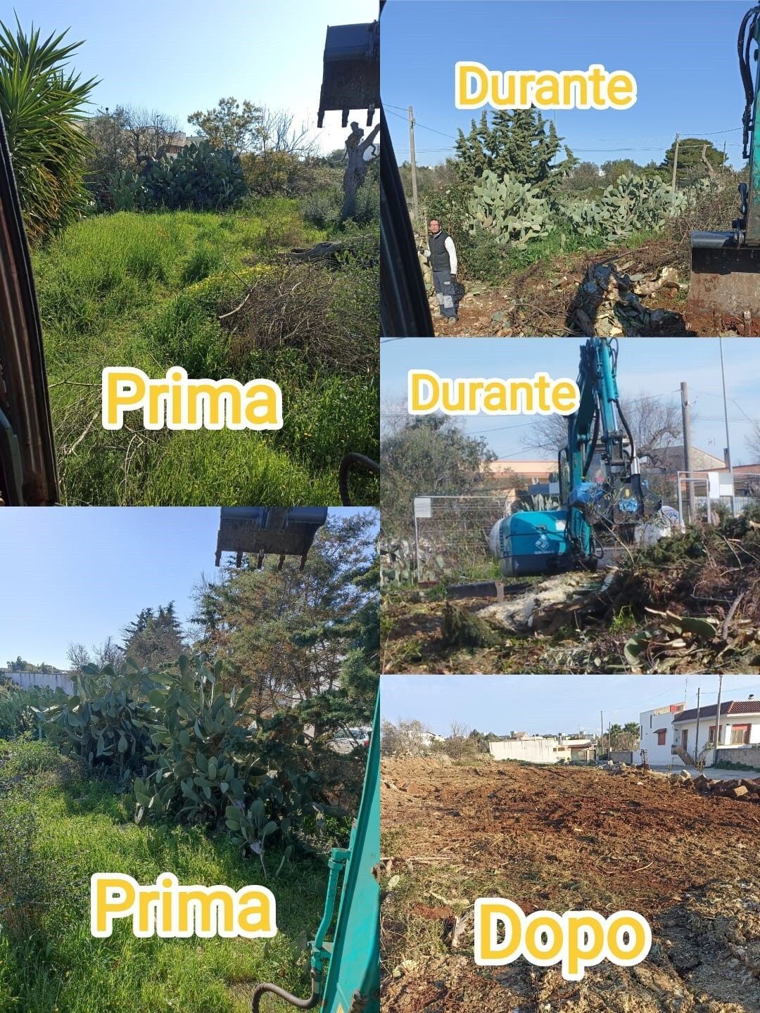Un collage di quattro immagini di un campo con le parole prima durante e prima dopo