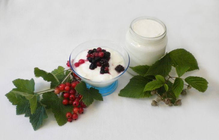 ricotta