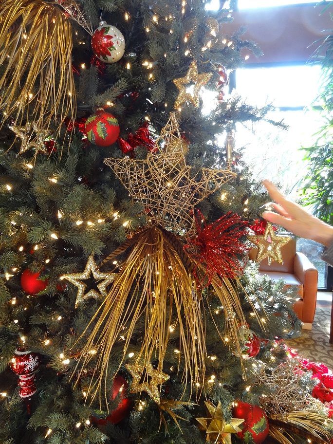 Christmas tree decorated with gold stars, red ornaments, and string lights.
