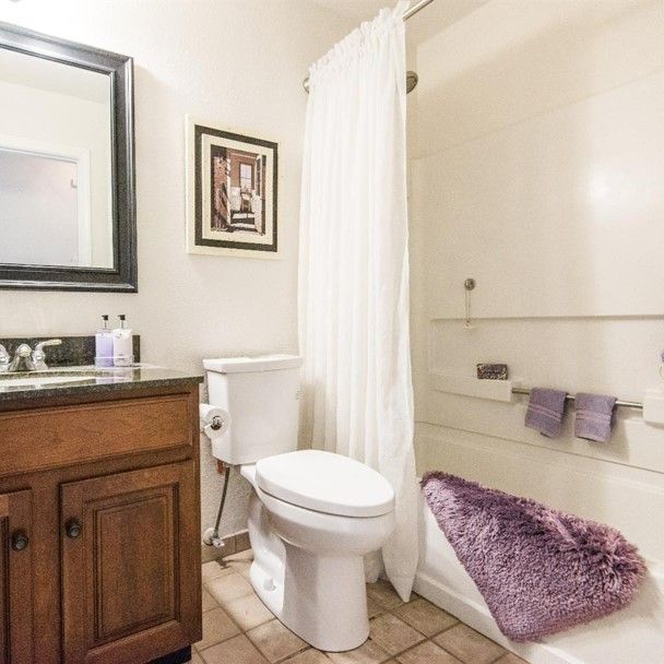 Bathroom with toilet, vanity, shower/tub, and purple bathmat.