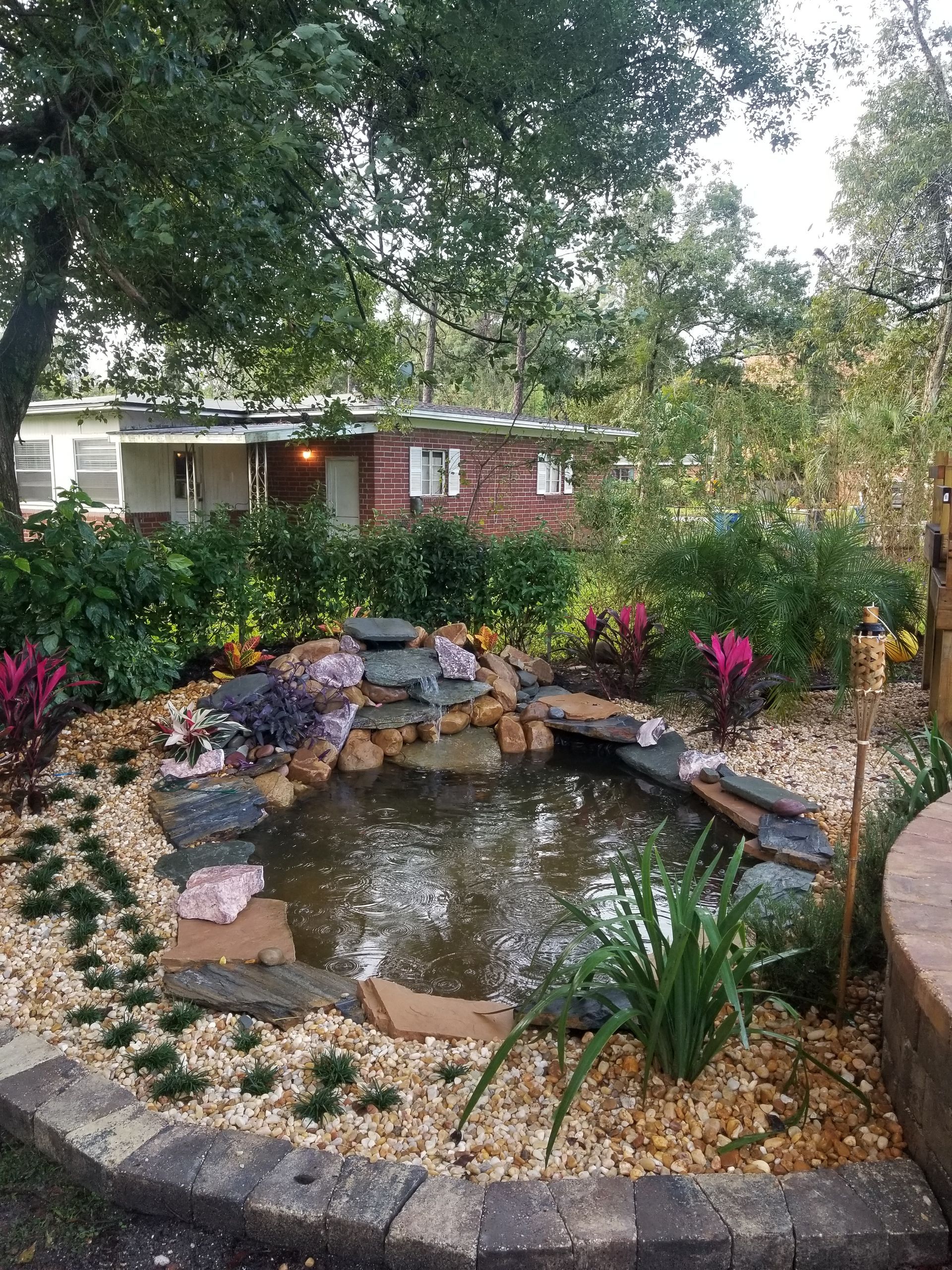A pond with a waterfall in the middle of a garden in front of a house.