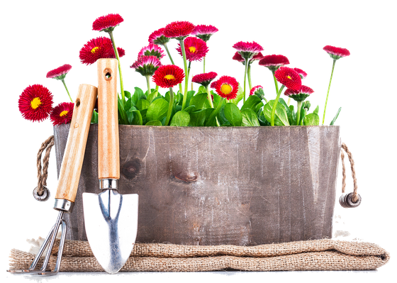 Garden Tools — Jacksonville, FL — A.C.E. Outdoor Designs