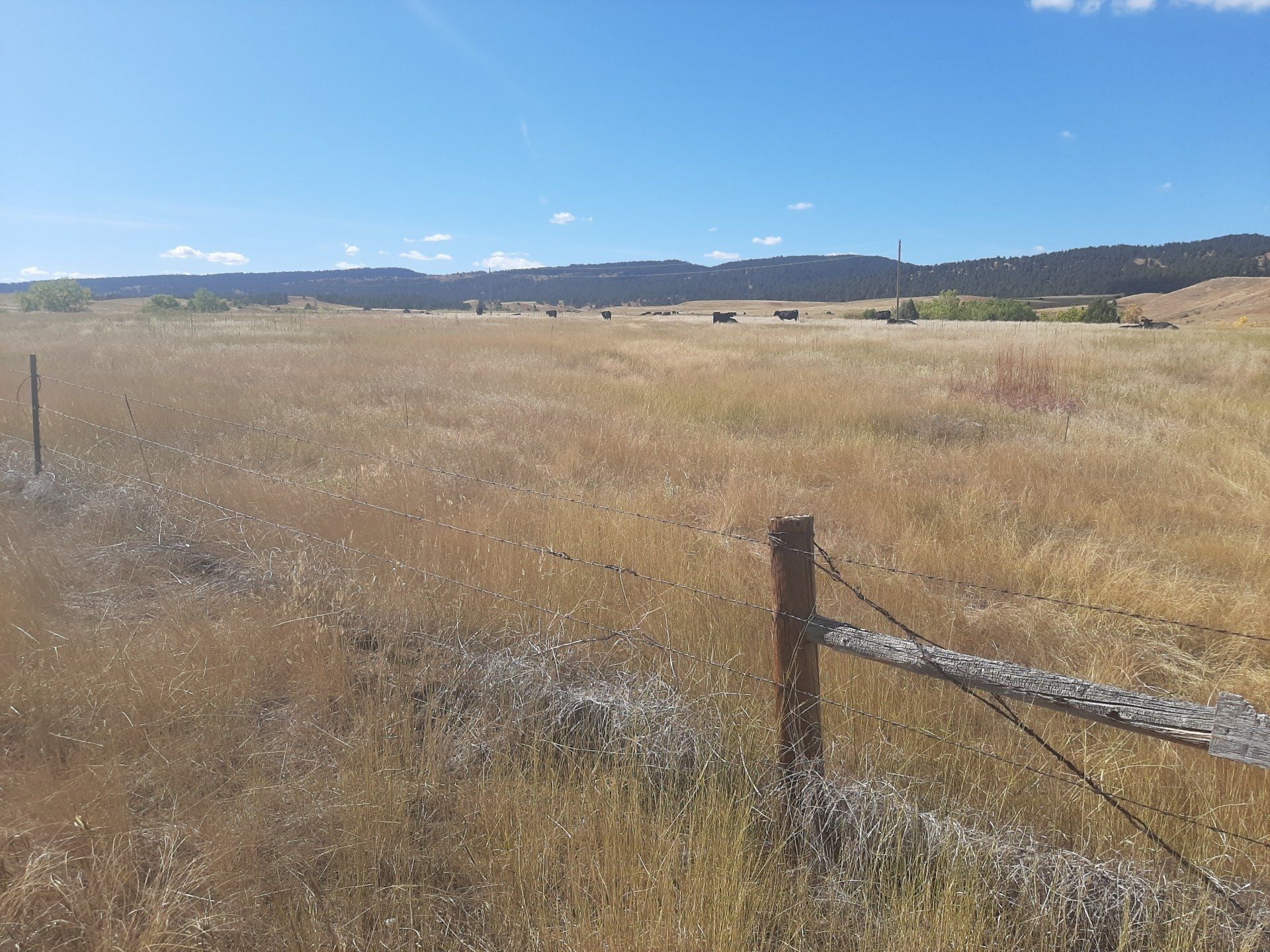 Dry grassy field, wooden fence in foreground, hills in the background, blue sky.