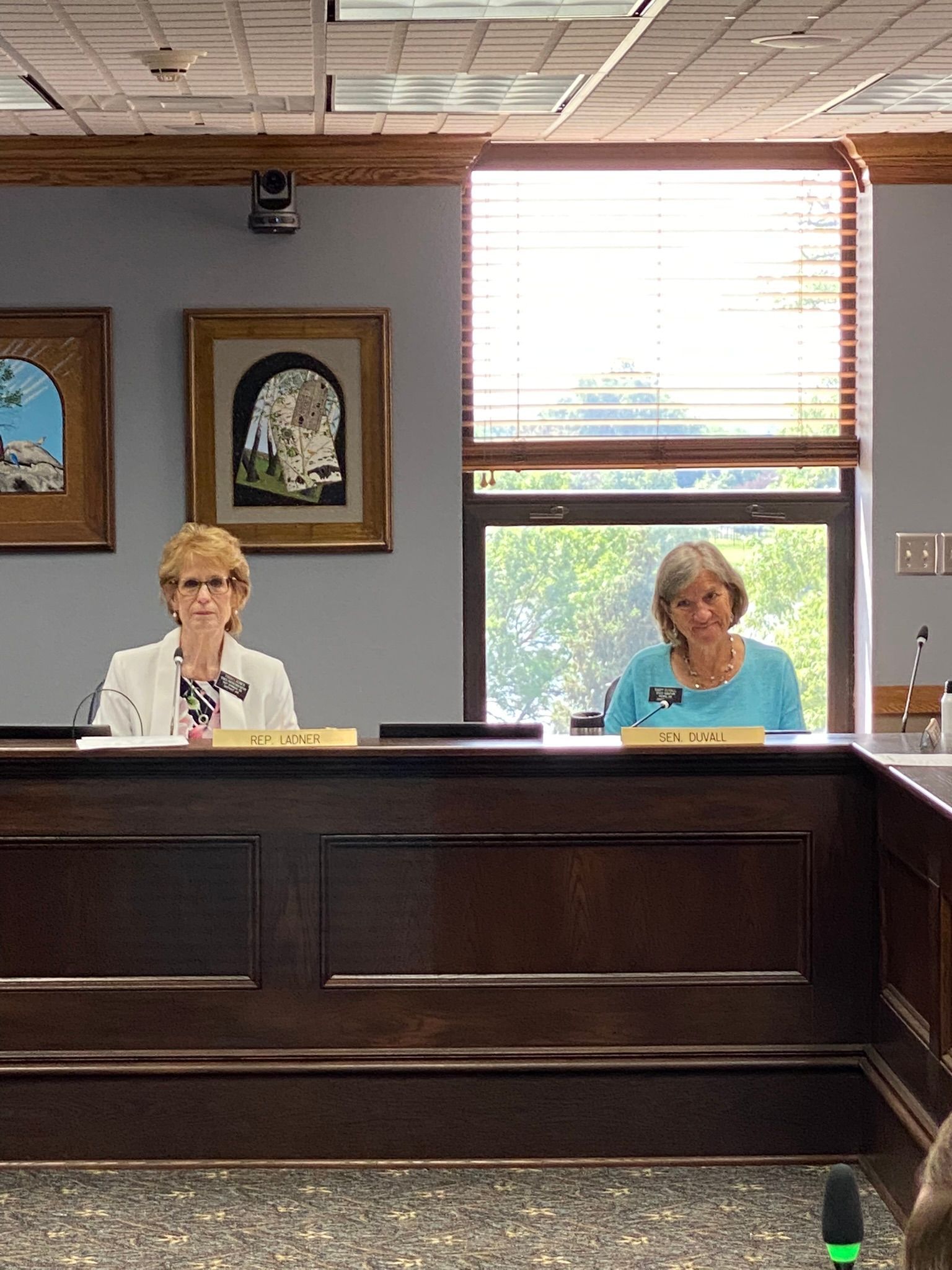 Two women seated at a dark wooden table in a room with paintings and a window.
