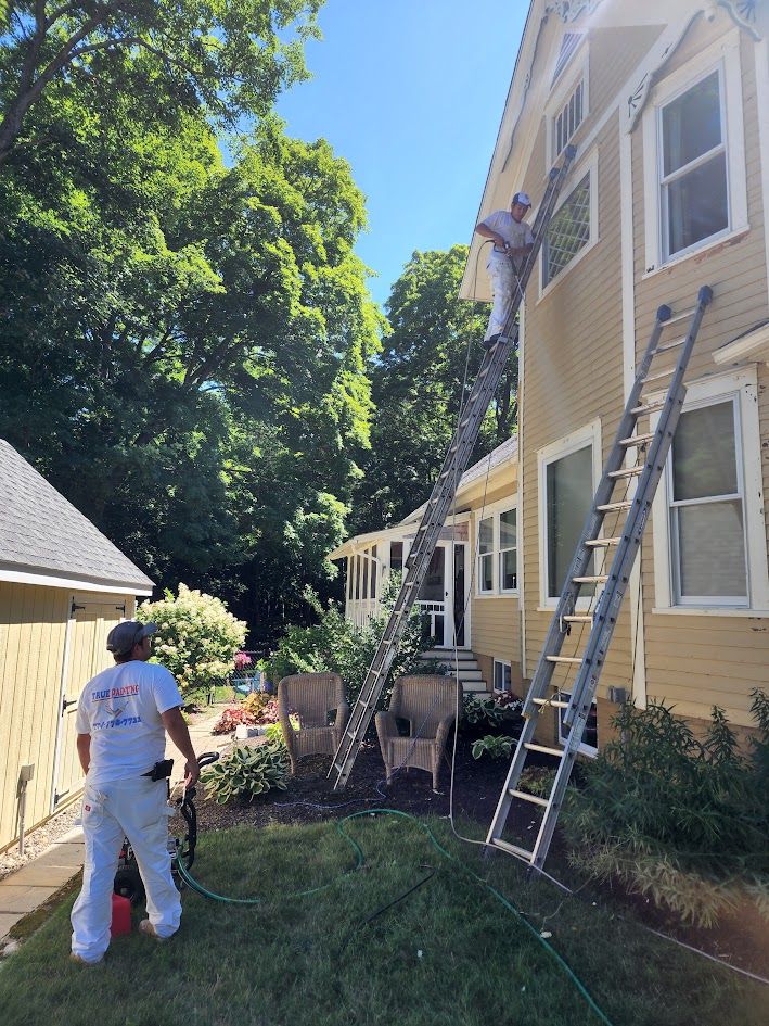 Person walking beside a yellow house with ladders leaning against the side, in a sunny yard.