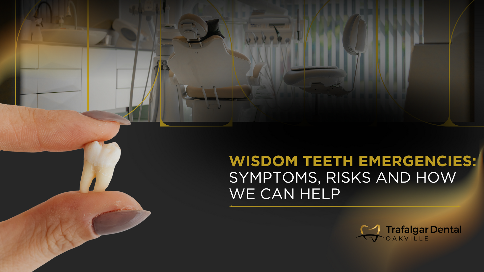 A person is holding a tooth in their hand.