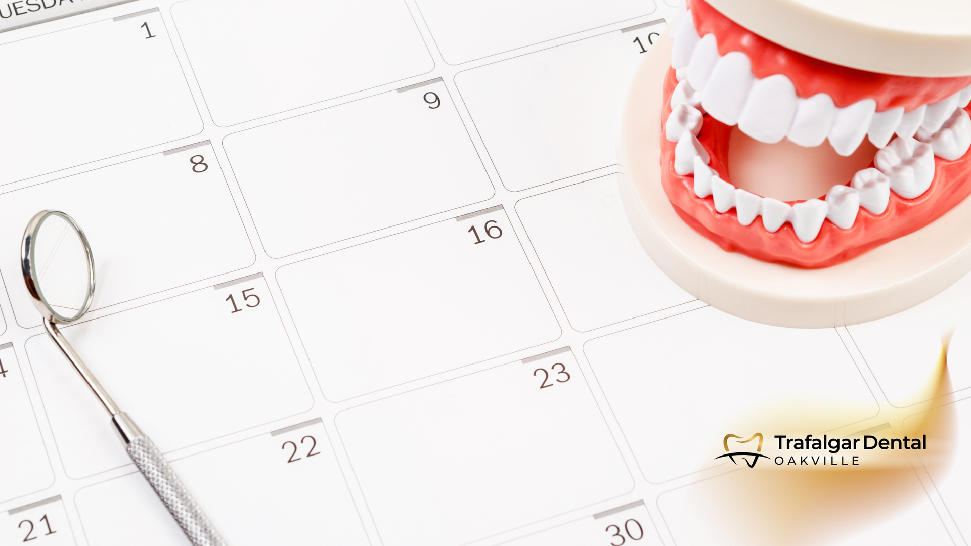 Calendar, dental tools, and teeth model, suggesting appointment scheduling or dental care reminders.